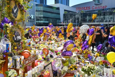 DSC_7202 (Large).JPG